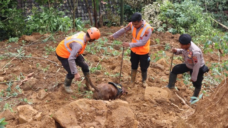 Tim K-9 Polda Jateng Berhasil Temukan Jenazah Bayi 5 Bulan yang Tertimbun Tanah Longsor