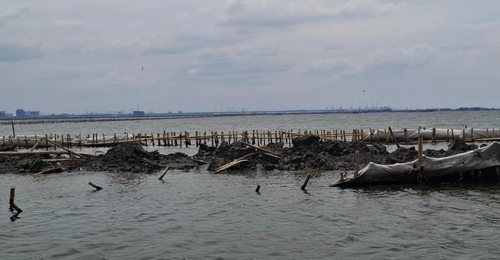 DKP Jabar soal Temuan Pagar Laut di Bekasi: Beda dengan Tangerang