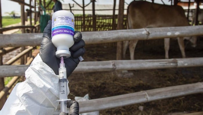 Apresiasi DPRD Jabar soal Vaksinasi Massal PMK untuk Hadapi Idul Adha