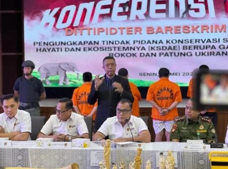 Bareskrim Polri Tindak Tegas Penyelundupan Satwa Dilindungi: Larangan Kepemilikan Gading Gajah Ditegaskan