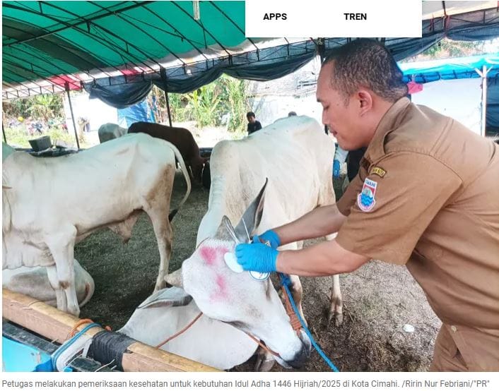 Pastikan Kesehatan Hewan Kurban, Pemkot Cimahi Turunkan 36 Petugas